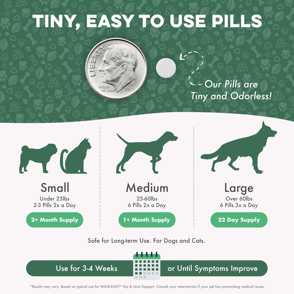 BestLife4Pets Walk-Easy senior dog mobility scene conveys comfort