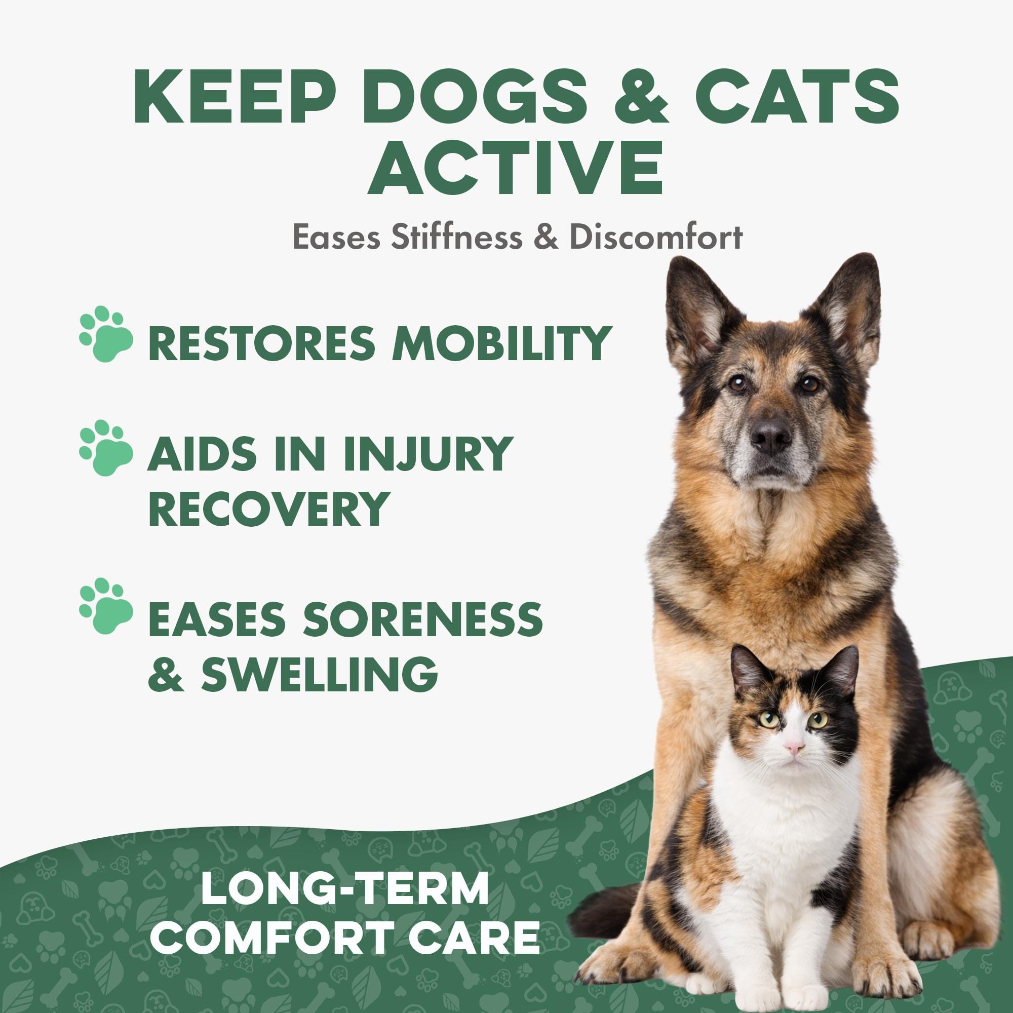 BestLife4Pets Walk-Easy stairs-support scene shows senior pet assistance