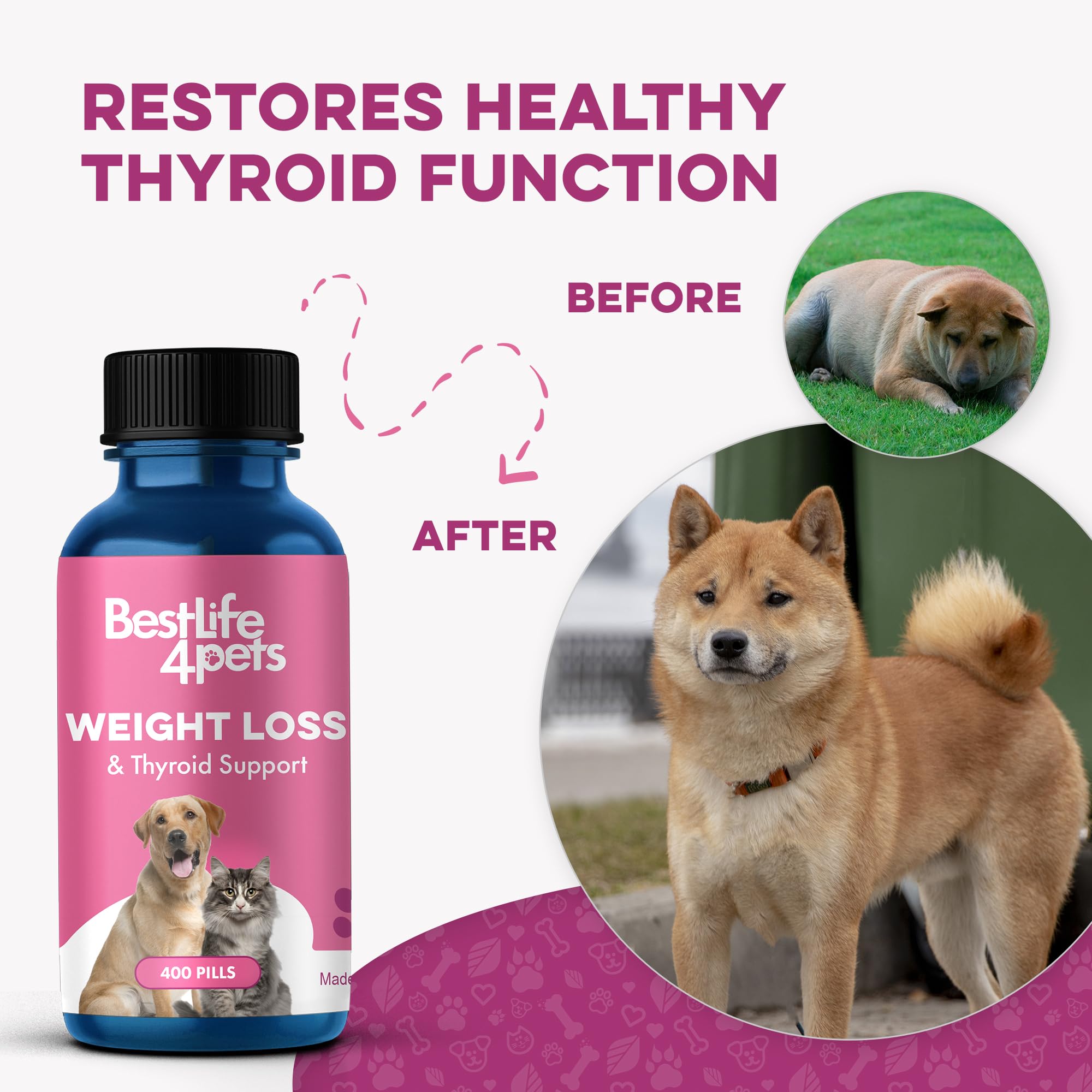 BestLife4Pets supplement mixed into cat dinner supports a gentle weight plan
