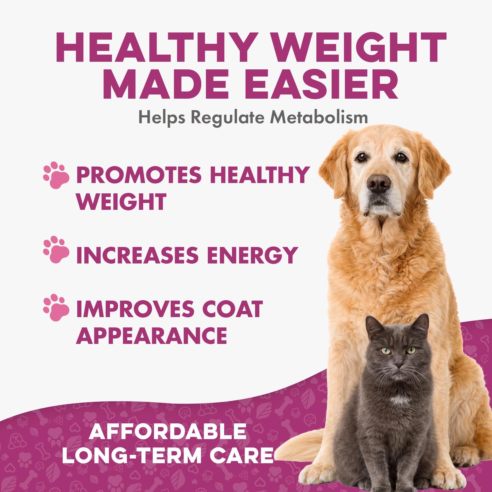 BestLife4Pets pills dissolving in water illustrate easy daily administration