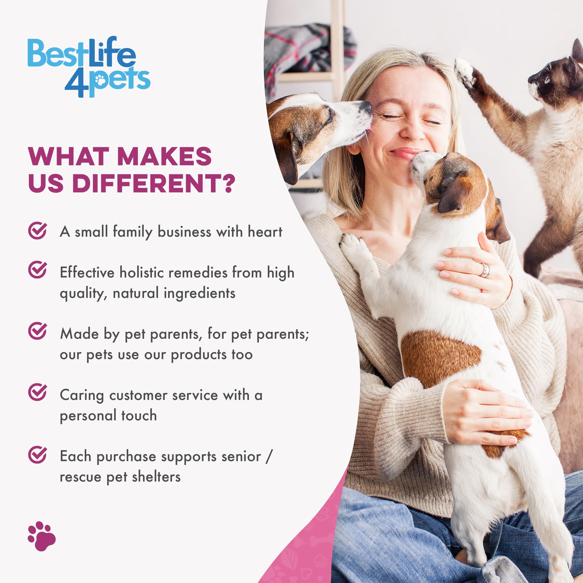 BestLife4Pets Weight & Thyroid Support added to dog meal aids routine management