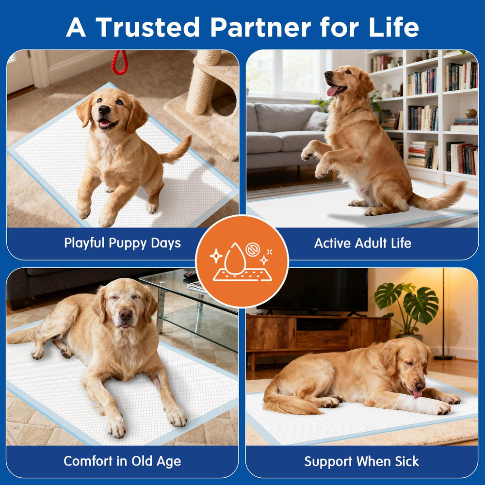 BESTRIPES 40-count pack delivers convenient, reliable coverage.