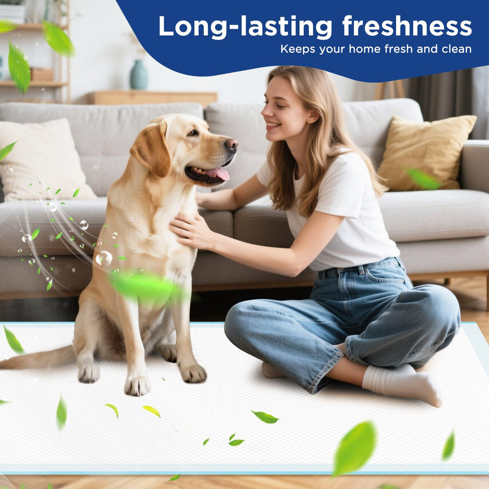 BESTRIPES ideal for puppies to seniors and multi-pet households.