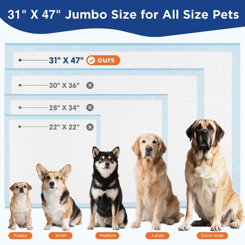 BESTRIPES versatile use from puppies to seniors in homes.