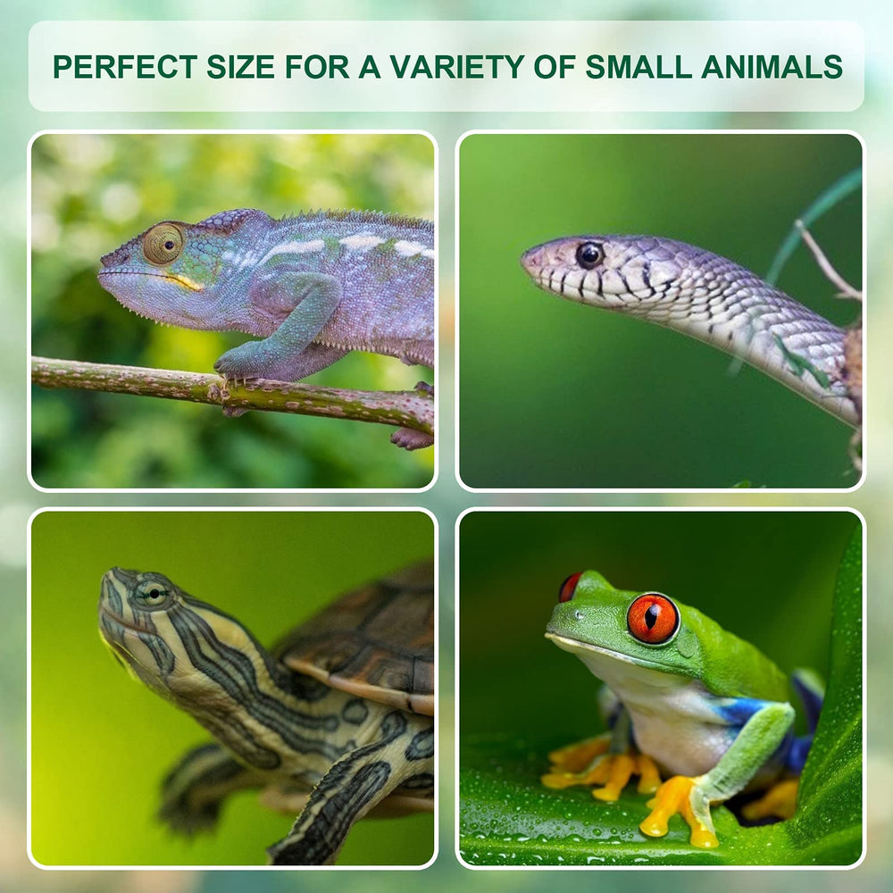 BETAZOOER 11.4x7.7x5.9 inch size fits baby reptiles