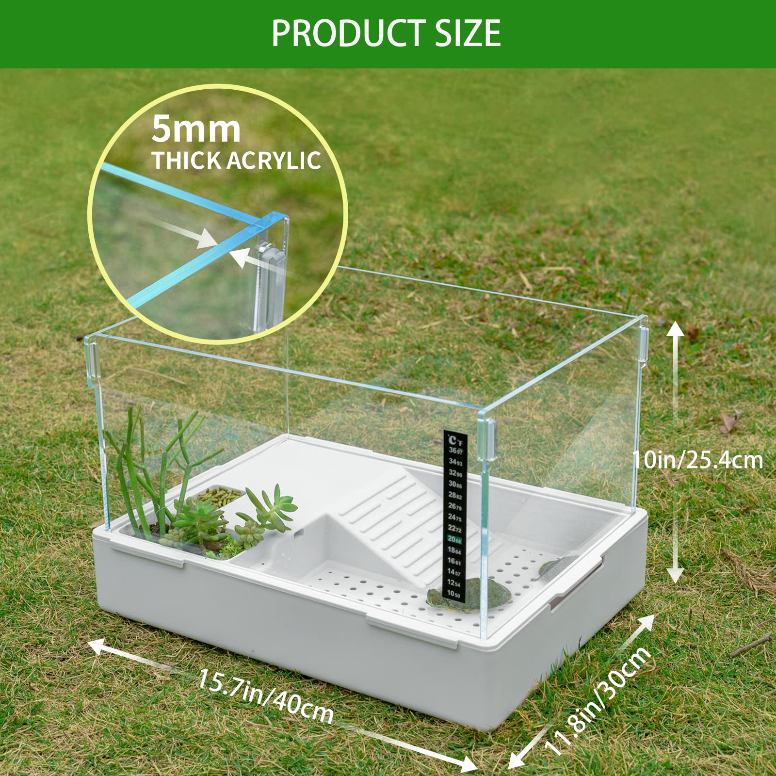 BETAZOOER turtle tank feeding area keeps meals organized