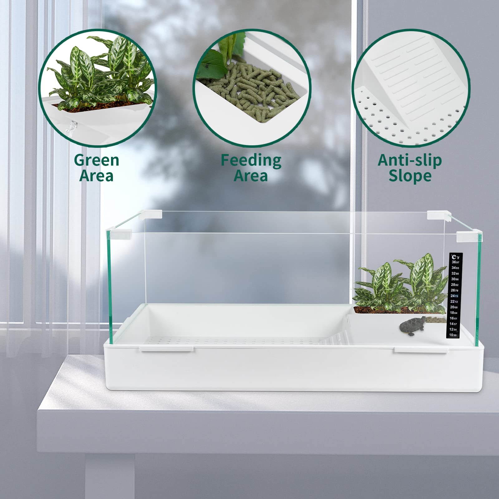 BETAZOOER versatile aquarium setup image conveys mixed aquatic and terrestrial use for pets.