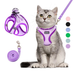 Betmaypet cat harness vest soft breathable mesh for comfort during outdoor wear.