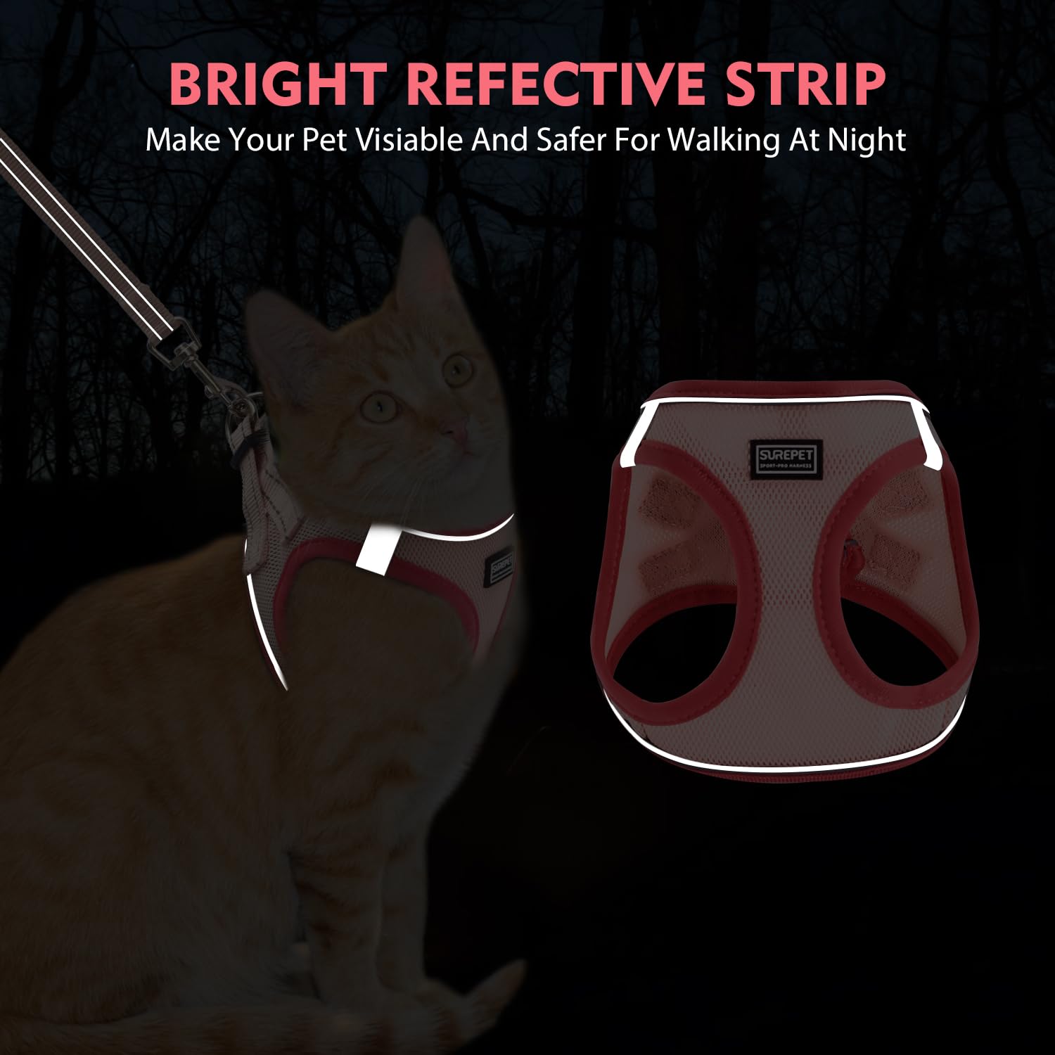 Betmaypet leash with metal D-ring ensures reliable leash connection.
