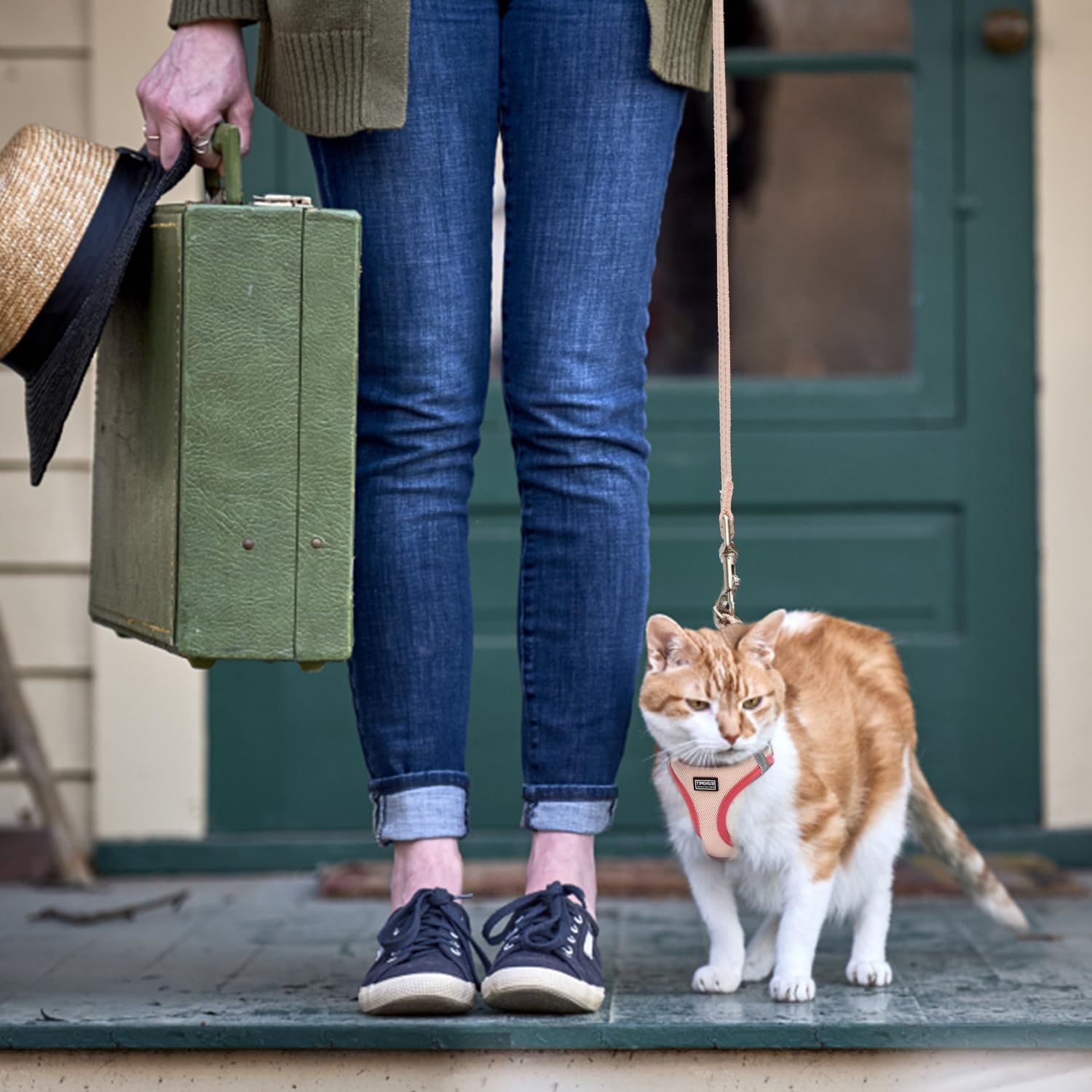 Betmaypet kitten walking set in light green for travel and training.