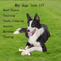 BETTEPROD beef flavor nylon dog chew medium bone provides secure grip during chewing