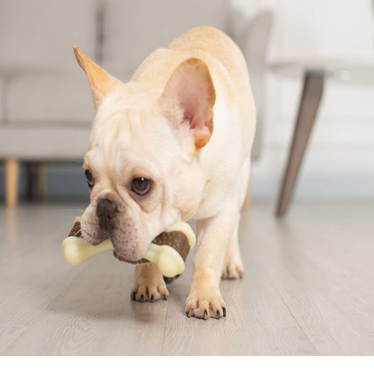 BETTEPROD indestructible dog toy pack demonstrates long-lasting chew options