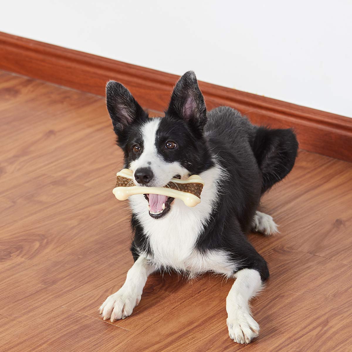 BETTEPROD puppy chew toy in use illustrates safe, enjoyable chewing sessions
