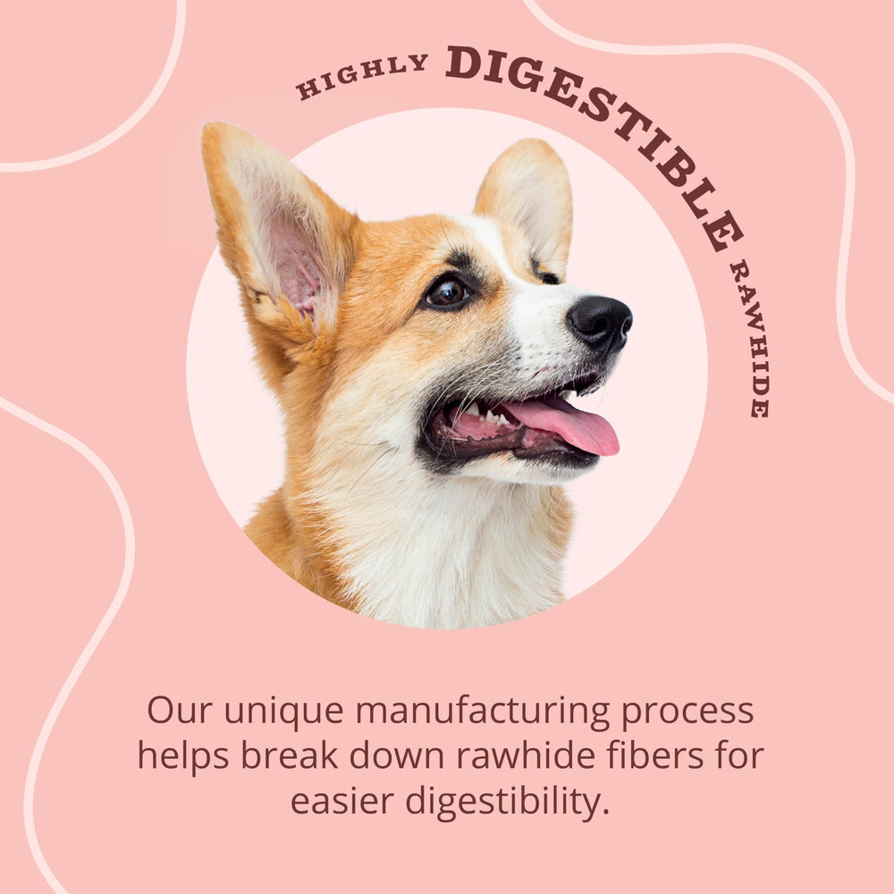 Close-up of Better Belly dog chew showing grain-free, digestible textures.
