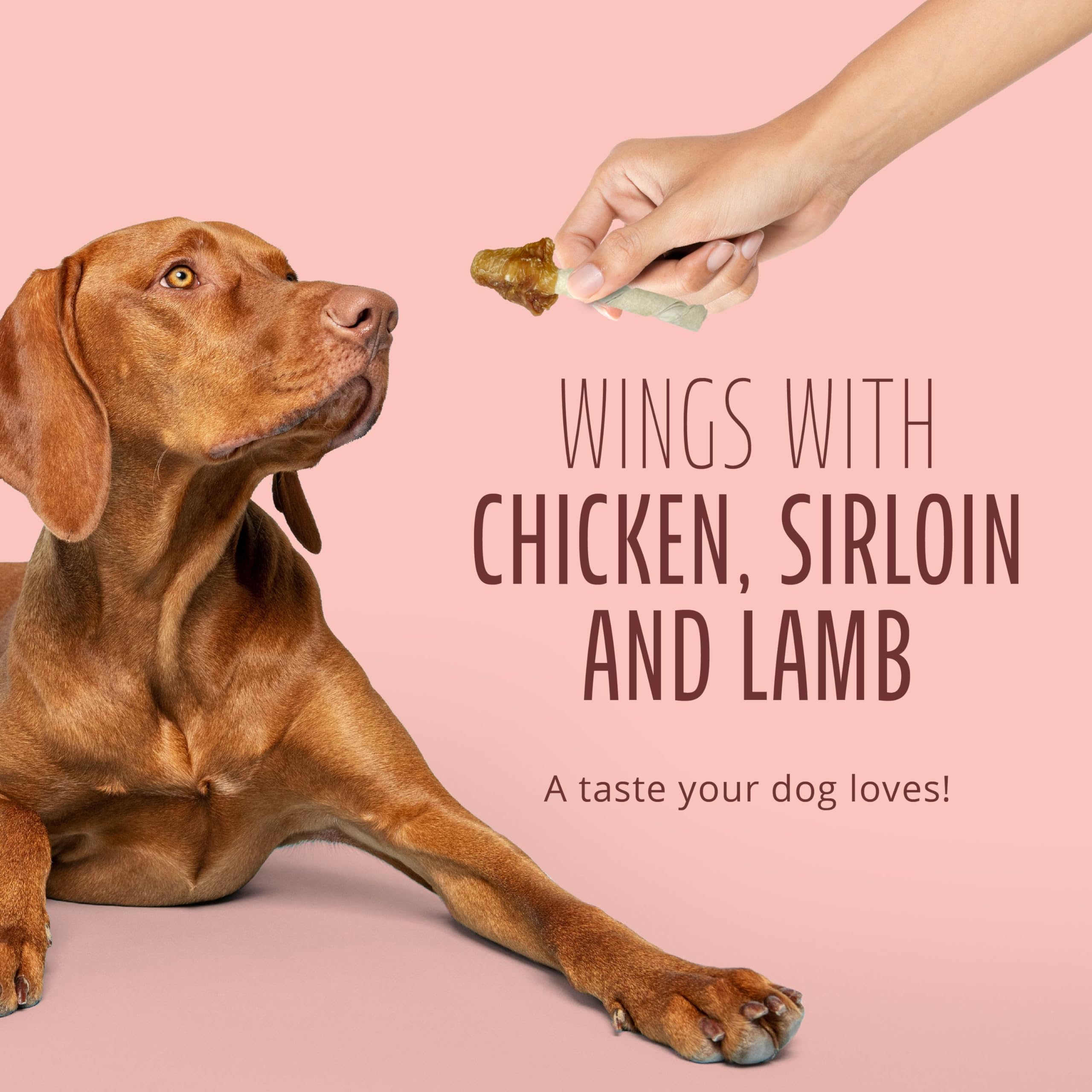 Dog enjoys Better Belly chew in action, highlighting a long-lasting treat.