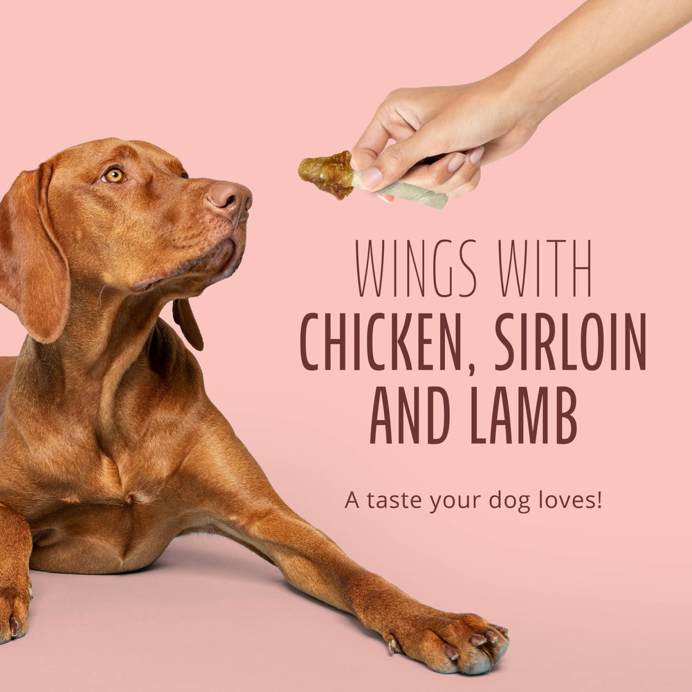 Dog enjoys Better Belly chew in action, highlighting a long-lasting treat.