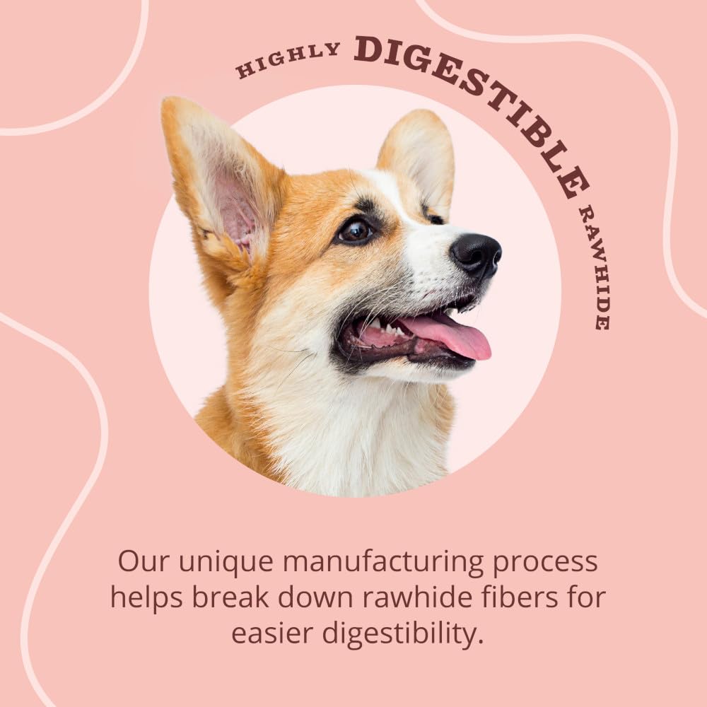 Better Belly Kabobs long-lasting chew close-up emphasizing durability.