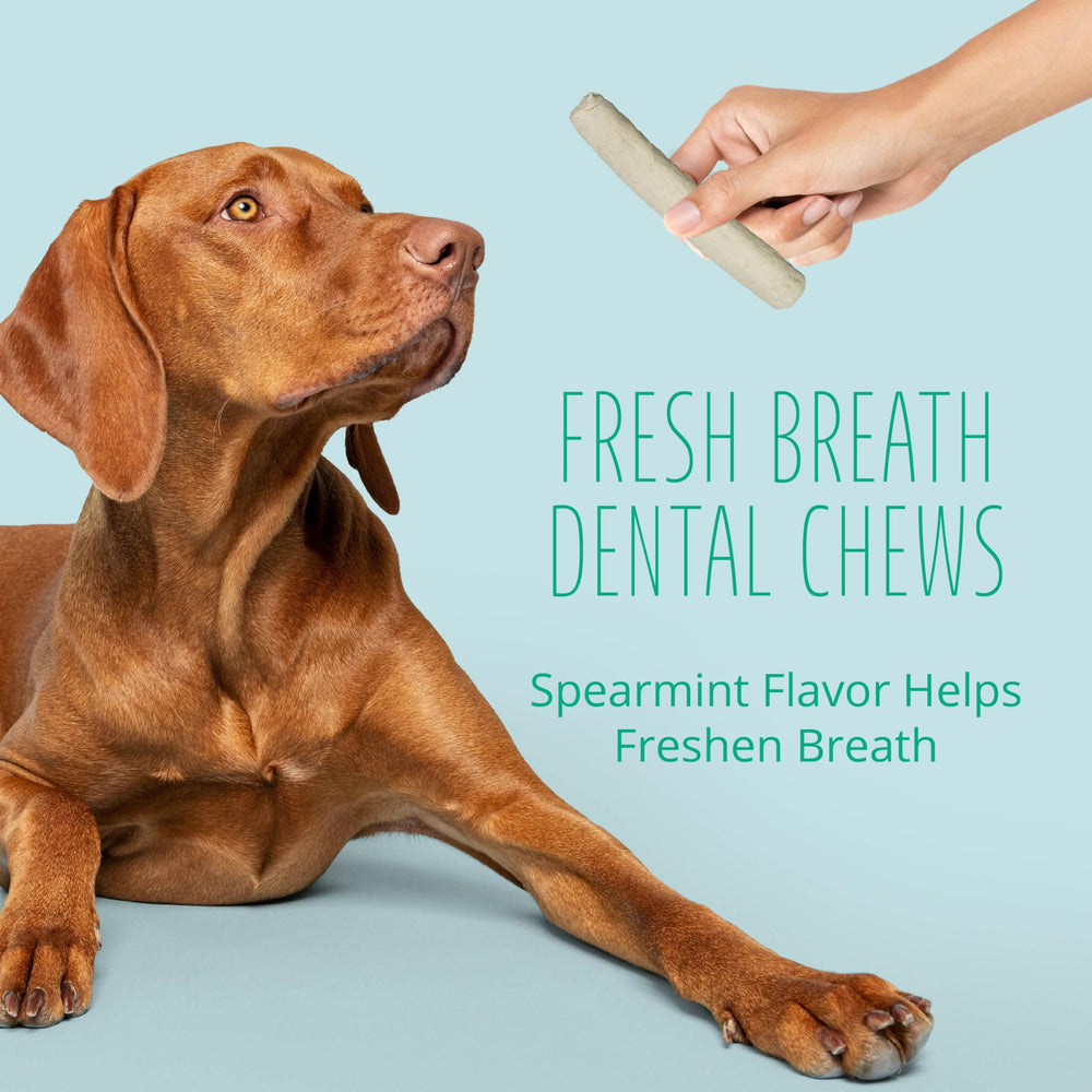 Better Belly No Artificial Colors Flavors supports clean ingredient choices