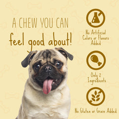 Better Belly Originals chicken liver small rolls dog chewer enjoying the natural flavor.