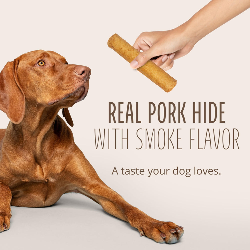Better Belly Rawhide Large Roll Chews dog enjoying a chew during playtime, satisfying entertainment.
