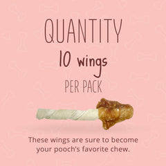 Better Belly Triple Flavor Wings chicken chunks highlight a protein-rich reward for dogs.
