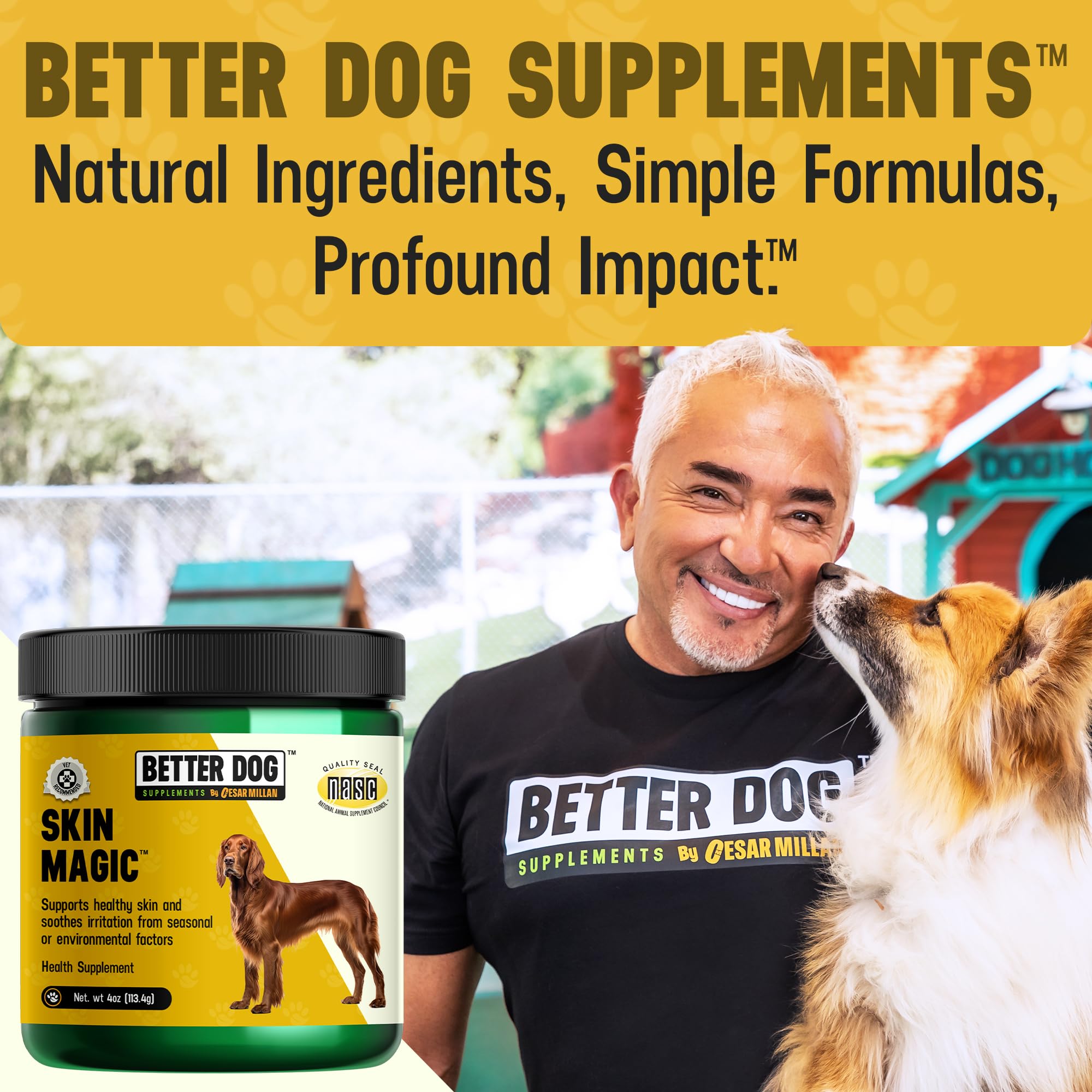 Happy dog enjoying a daily wellness routine with Skin Magic