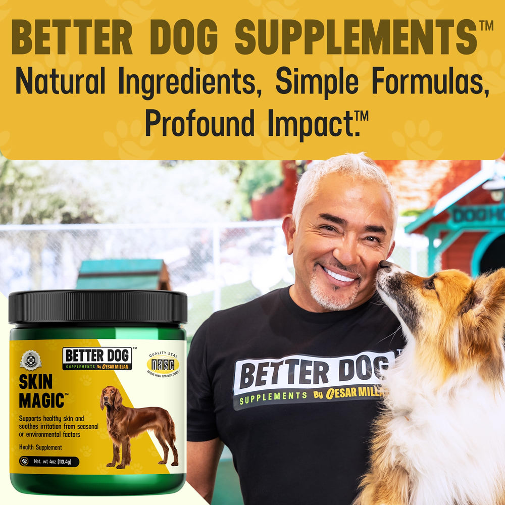 Happy dog enjoying a daily wellness routine with Skin Magic