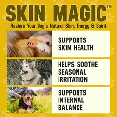 Dog with a shiny coat after using Better Dog Skin Magic by Cesar Millan