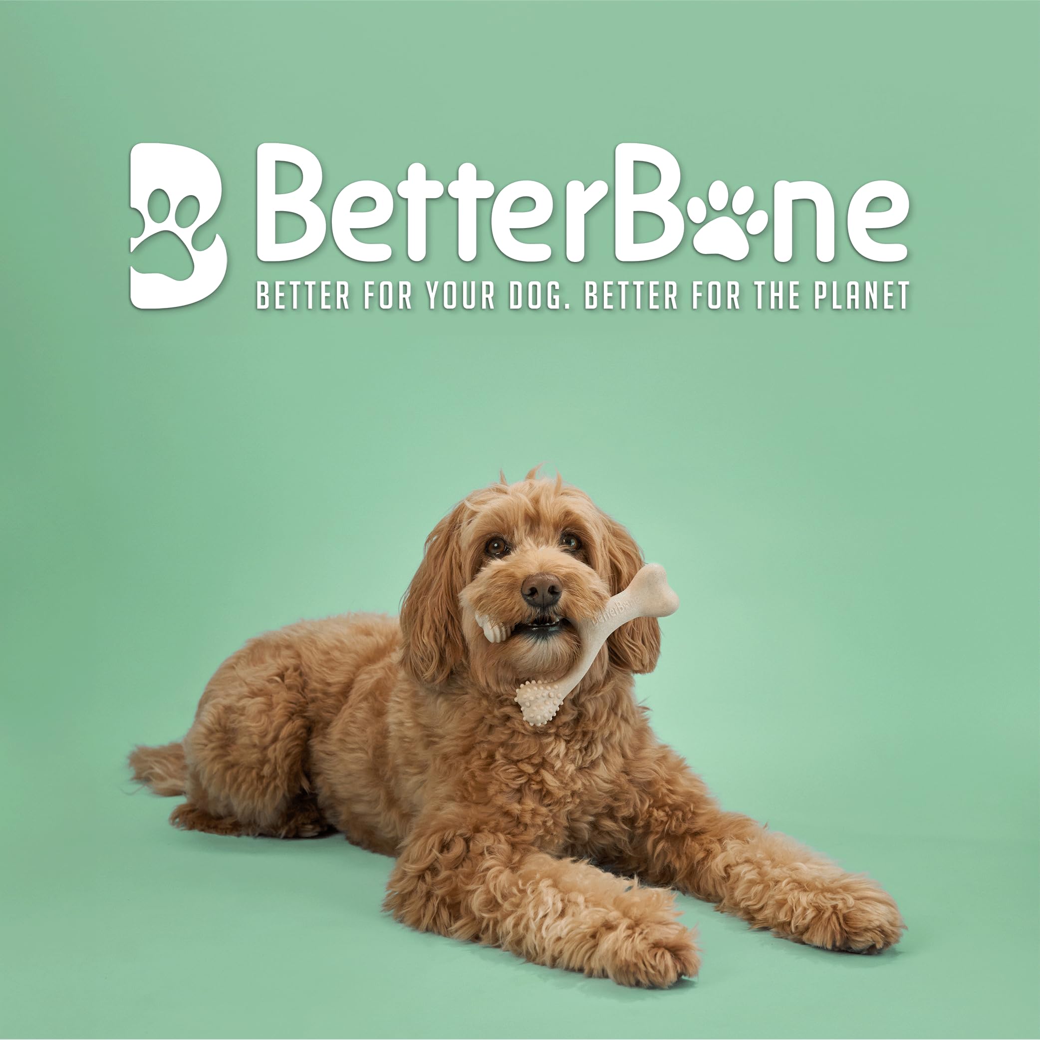 BetterBone cellulose-vegetable oil blend close-up highlights non-toxic composition for safe chewing.