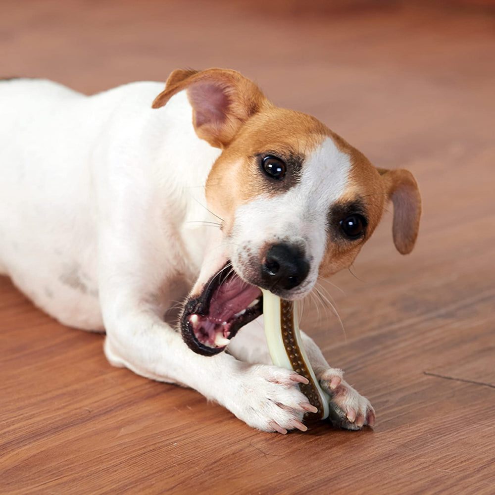 BETTEPROD bone-shape design helps dogs grip and reduces boredom during chews.