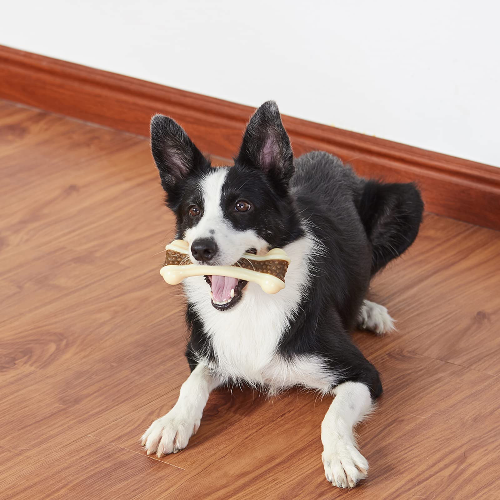 BETTEPROD long-lasting chew session supports exercise and mental engagement.