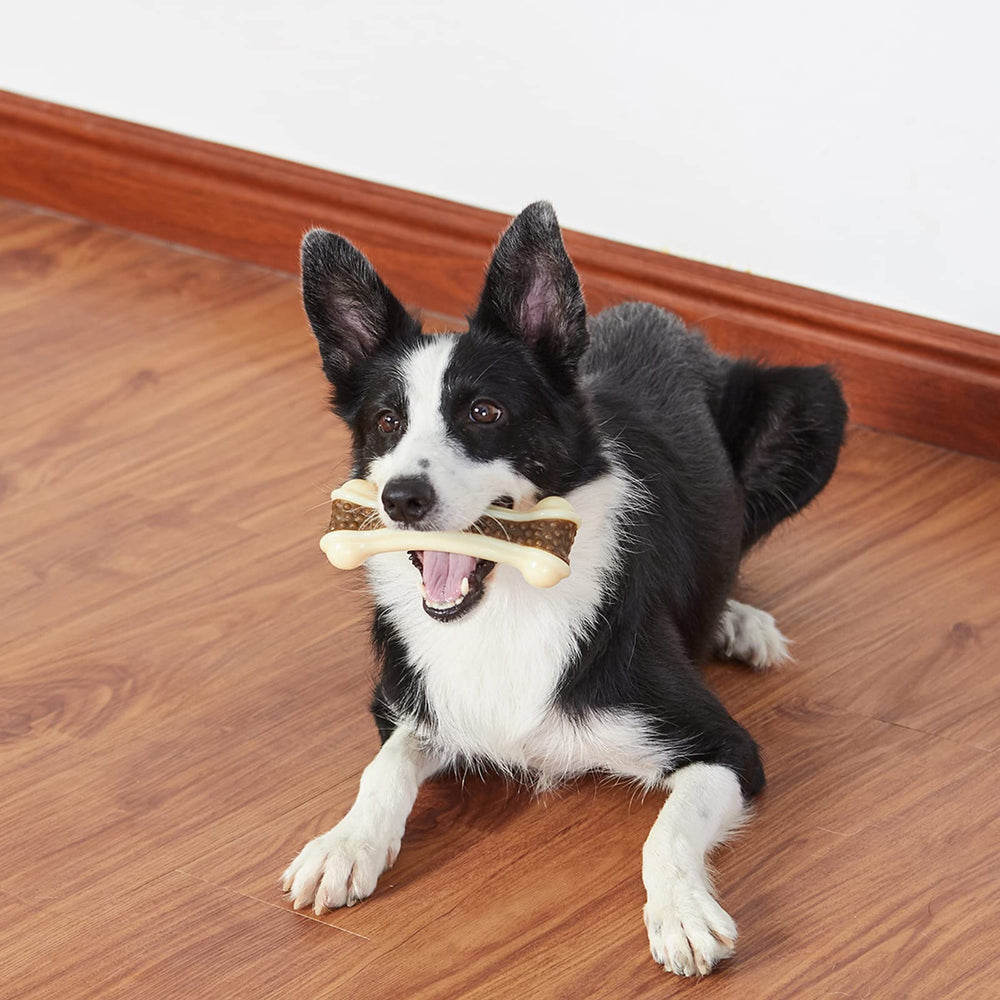 BETTEPROD long-lasting chew session supports exercise and mental engagement.