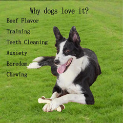 BETTEPROD real-beef-flavor chew engages dogs during playtime