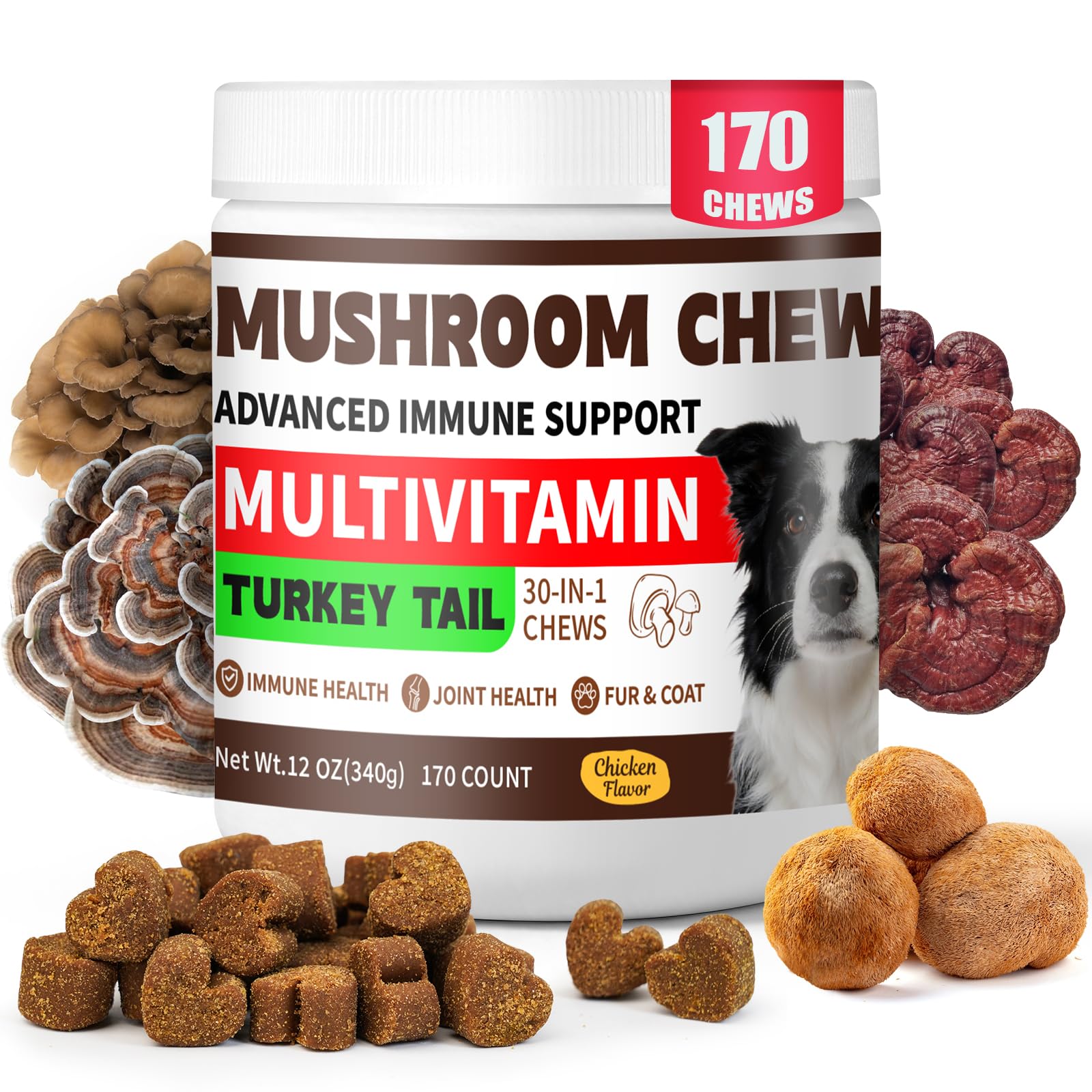 BevinMugford Turkey Tail for Dogs bottle promoting daily immune support.