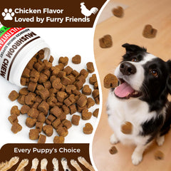 BevinMugford Turkey Tail for Dogs chicken flavor chews for picky eaters.
