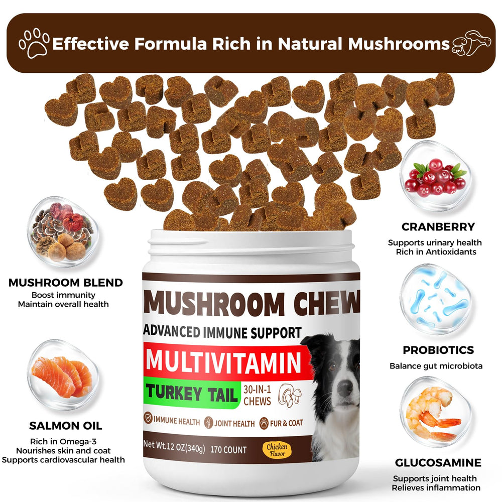BevinMugford Turkey Tail for Dogs ingredients close-up with mushrooms and probiotics.