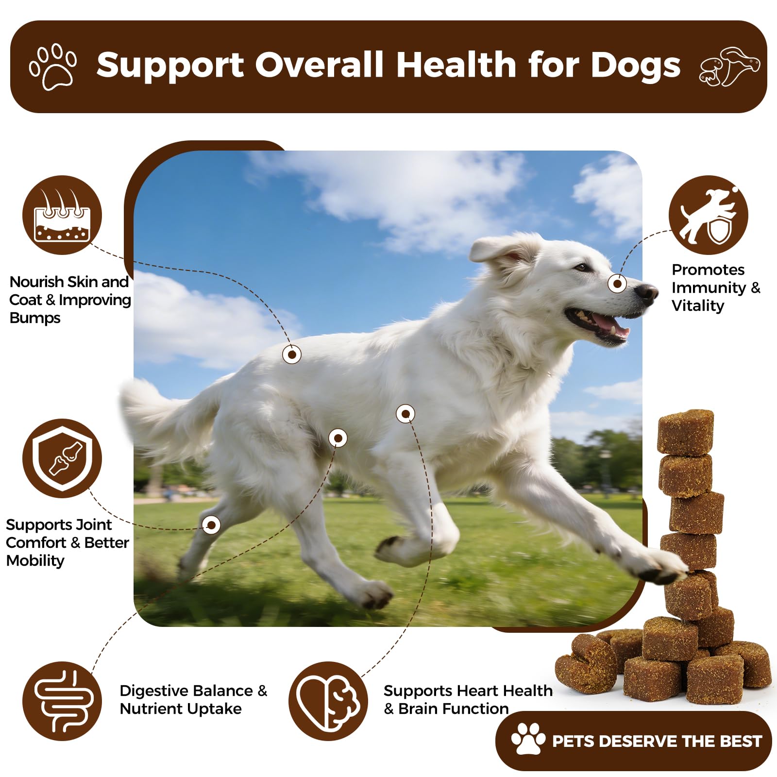 BevinMugford Turkey Tail for Dogs soft chews designed for joints and mobility.