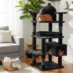 BEWISHOME plush coffin bed demonstrates elevated relaxation for large cats