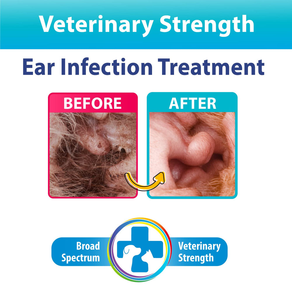Curaseb ear flush applied to a dog's ear for debris removal