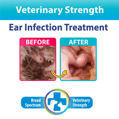 Curaseb ear flush applied to a dog's ear for debris removal
