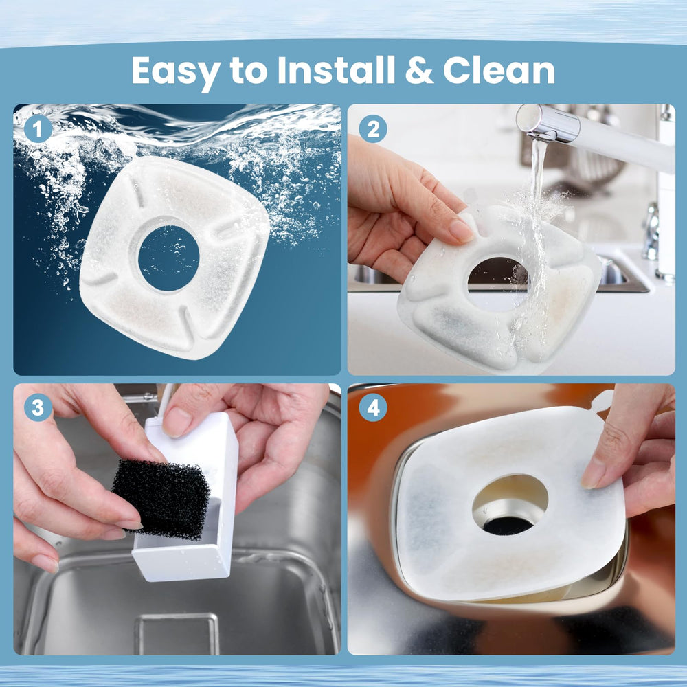 Pet drinking Beyolike-filtered water after installation.