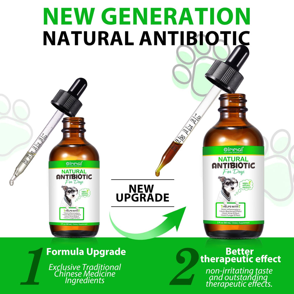 Beyxdu eye infection care for dogs highlights soothing routine.