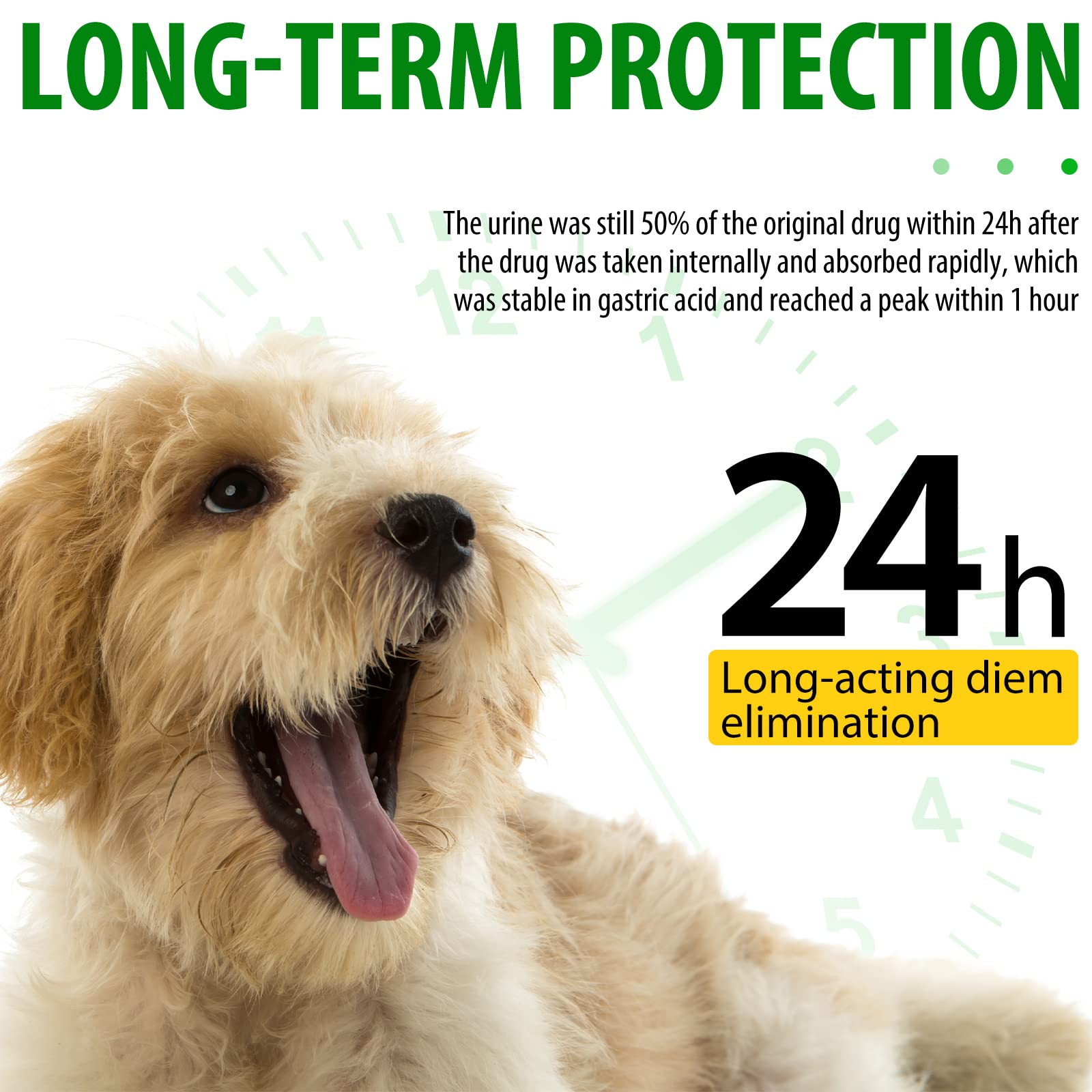 Beyxdu kennel cough support visuals imply gentle daily care.