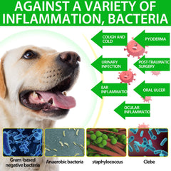 Beyxdu liquid formula dosage guide for easy mixing with pet food.