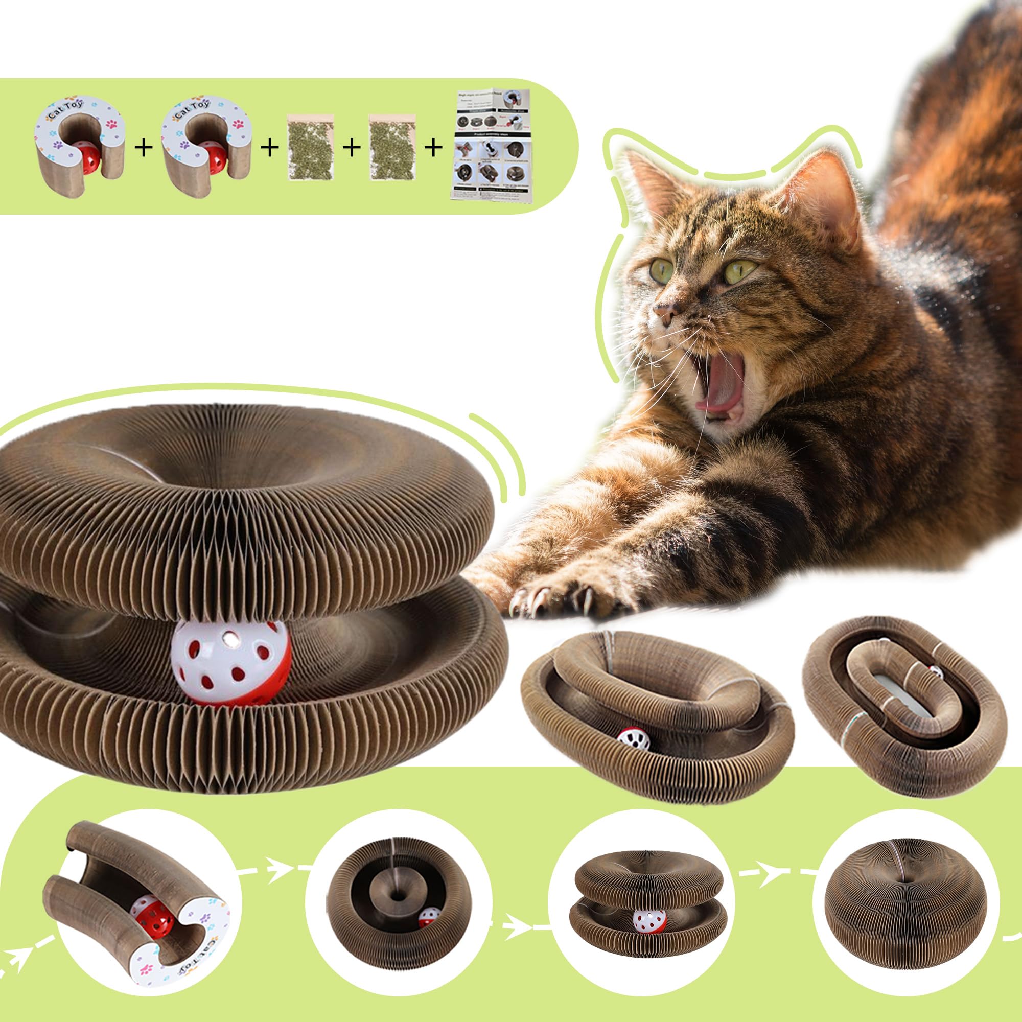 Bfbawm Kitty Curls accordion form reshapes for daily variety.