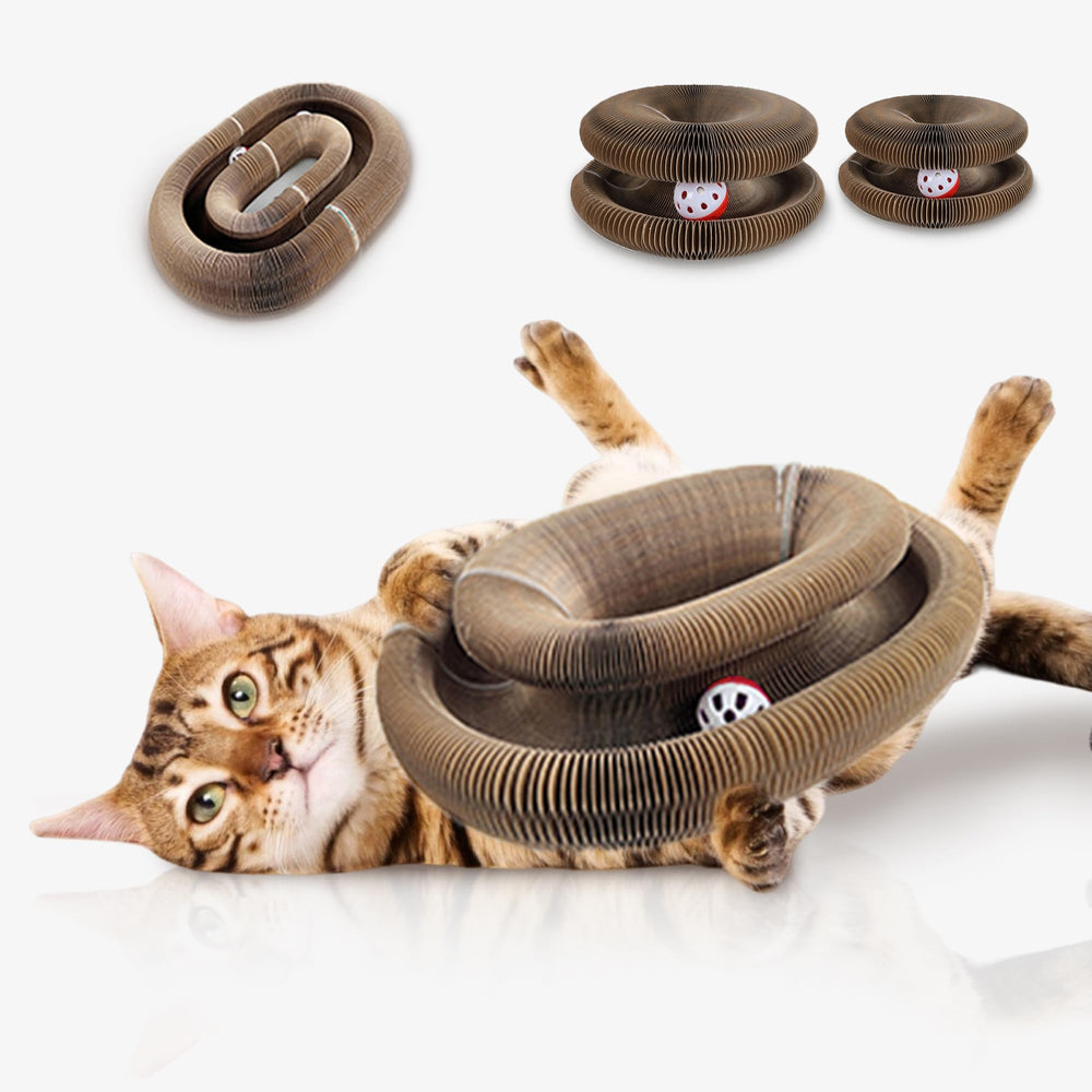 Bfbawm Kitty Curls foldable scratcher with ball for indoor play.