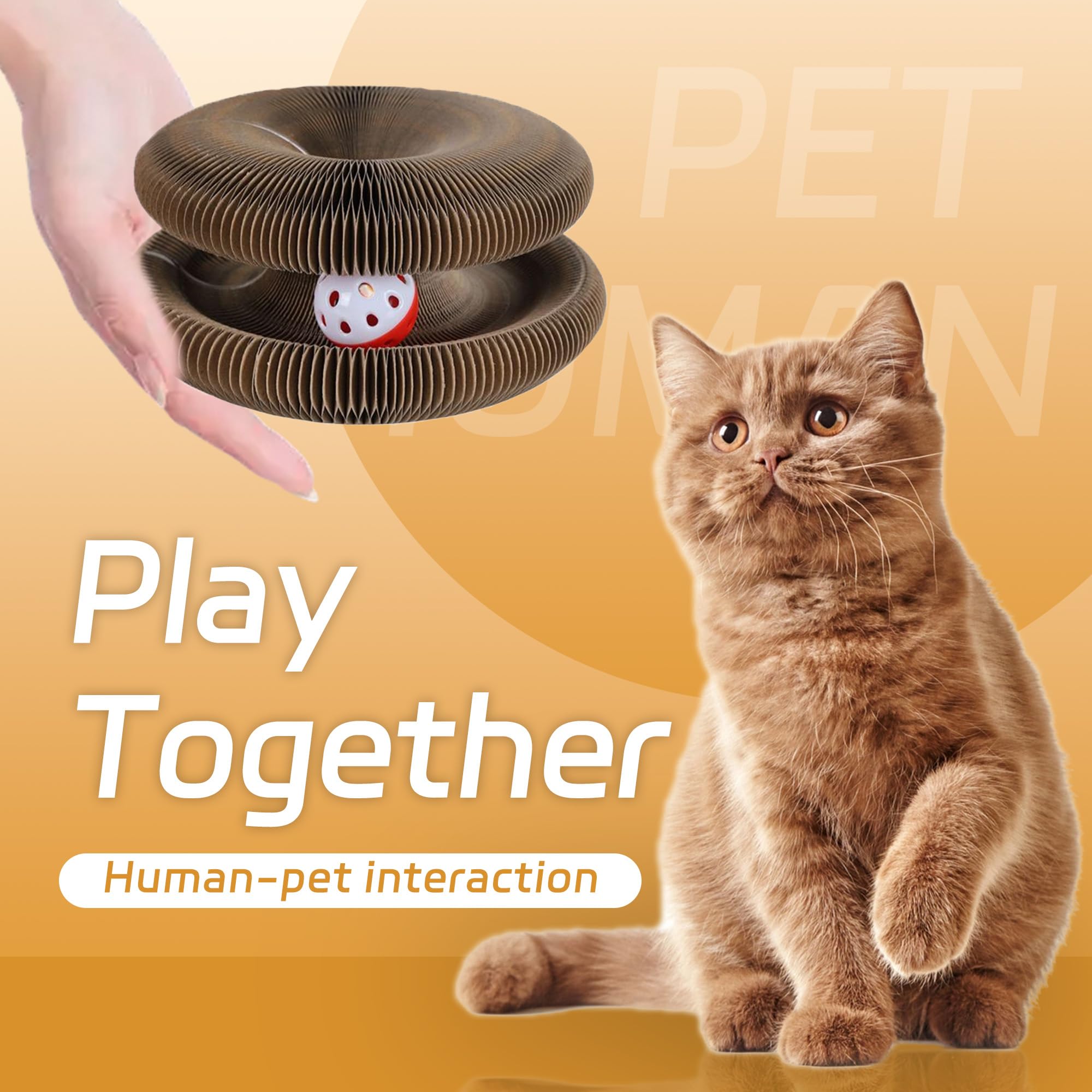 Bfbawm Kitty Curls ball track with jingling bell stays secure.