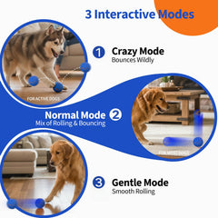 BFFWOW dog ball in gentle mode helps shy or senior dogs stay comfortable.
