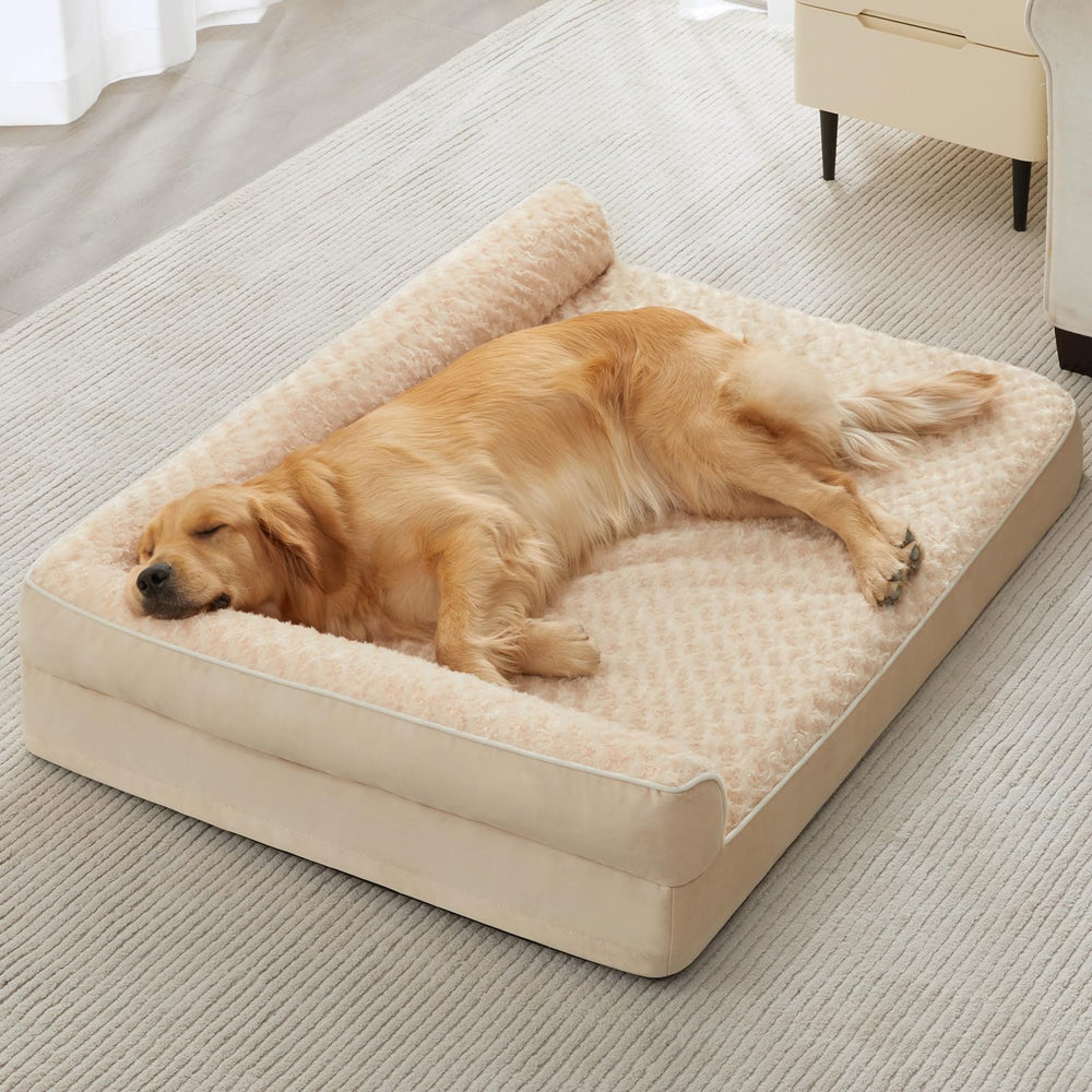 BFPETHOME bed in living room creates a cozy resting spot