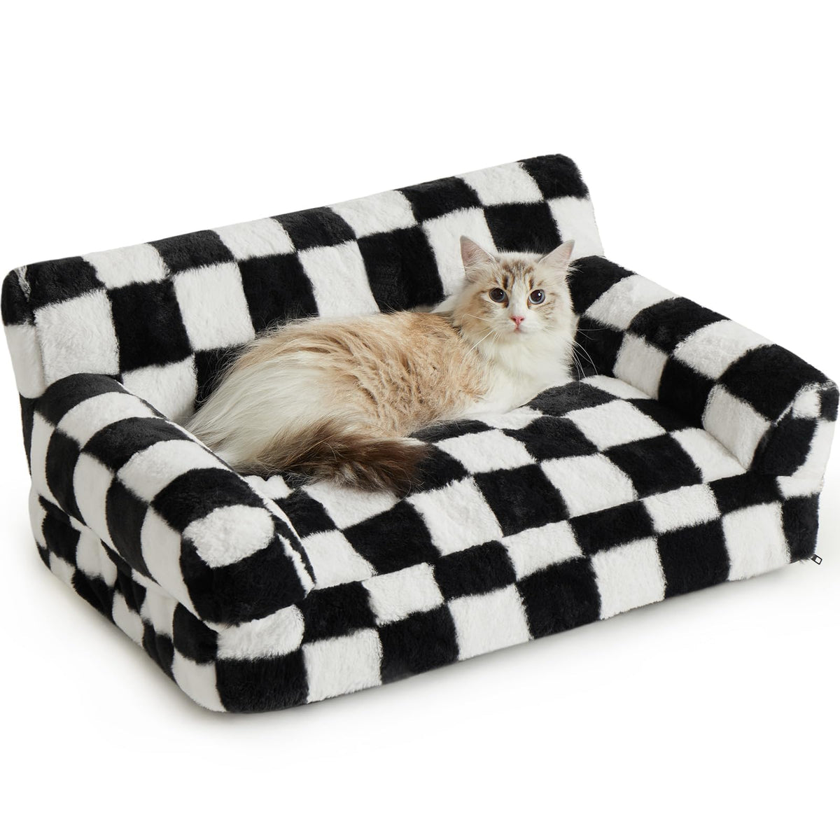 BFPETHOME cat couch bed with soft foam fill for cozy naps